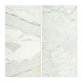 12 x 12 Honed Calacatta Gold Marble Tile