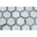 2 x 2 Honed Bianco Carrara Marble Vortex Hexagon Mosaic Tile (w/ Blue-Gray)