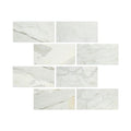 6 x 12 Honed Calacatta Gold Marble Tile