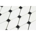 Thassos White Honed Marble Octave Mosaic Tile w/ Black Dots