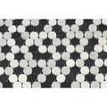 Thassos White Honed Marble Penny Round Mosaic Tile (Thassos + Carrara + Black)