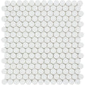 Thassos White Honed Marble Penny Round Mosaic Tile